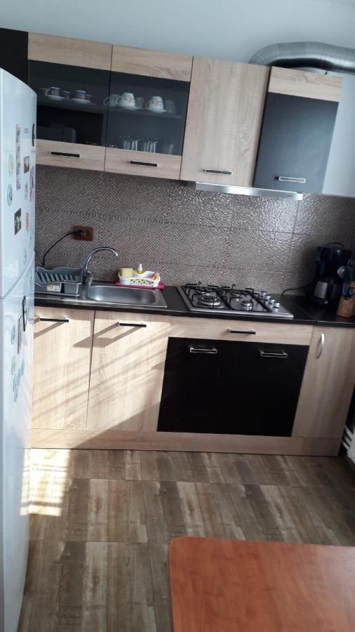 Accommodatie bij particulieren Casa Ionita Două Mai